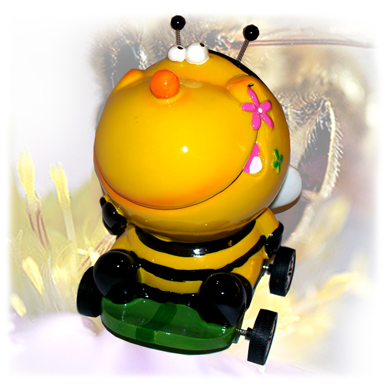 Pokladnička včelák Paul-4