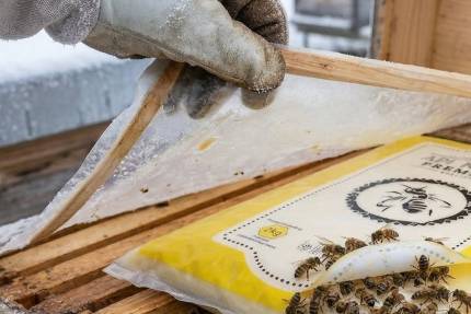 Včelařská praxe: Zima v plné síle - únorové plodování a doplňování zásob