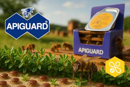 Včelařská praxe: Zkušenosti včelařů s přípravkem Apiguard