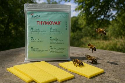 Včelařská praxe: THYMOVAR - vše o tomto přírodním přípravku proti varroáze