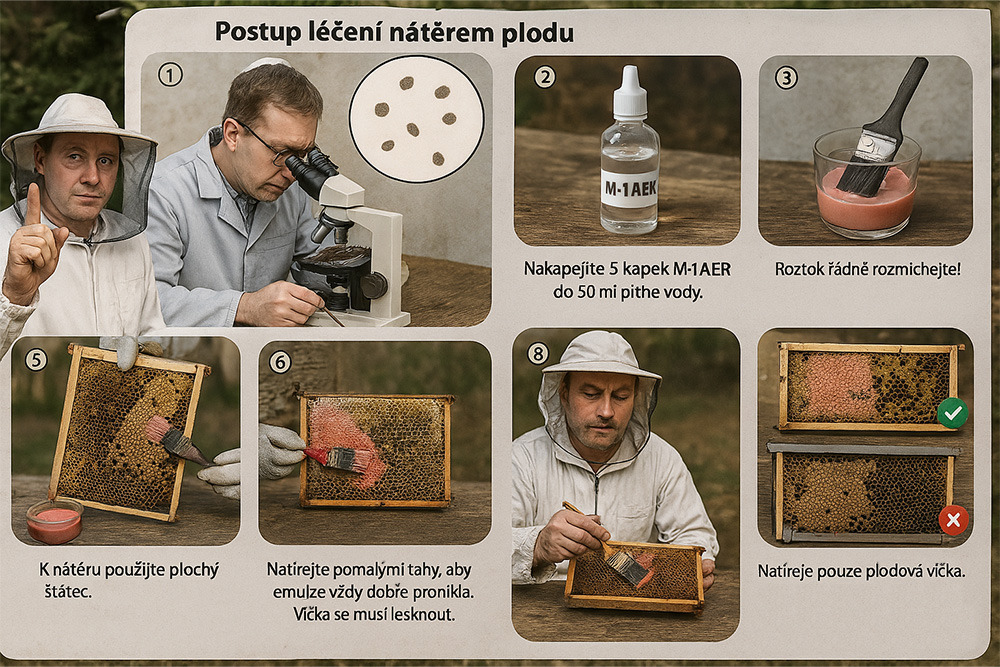 Včelařská praxe: Nátěr zavíčkovaného plodu v předjaří proti varroáze