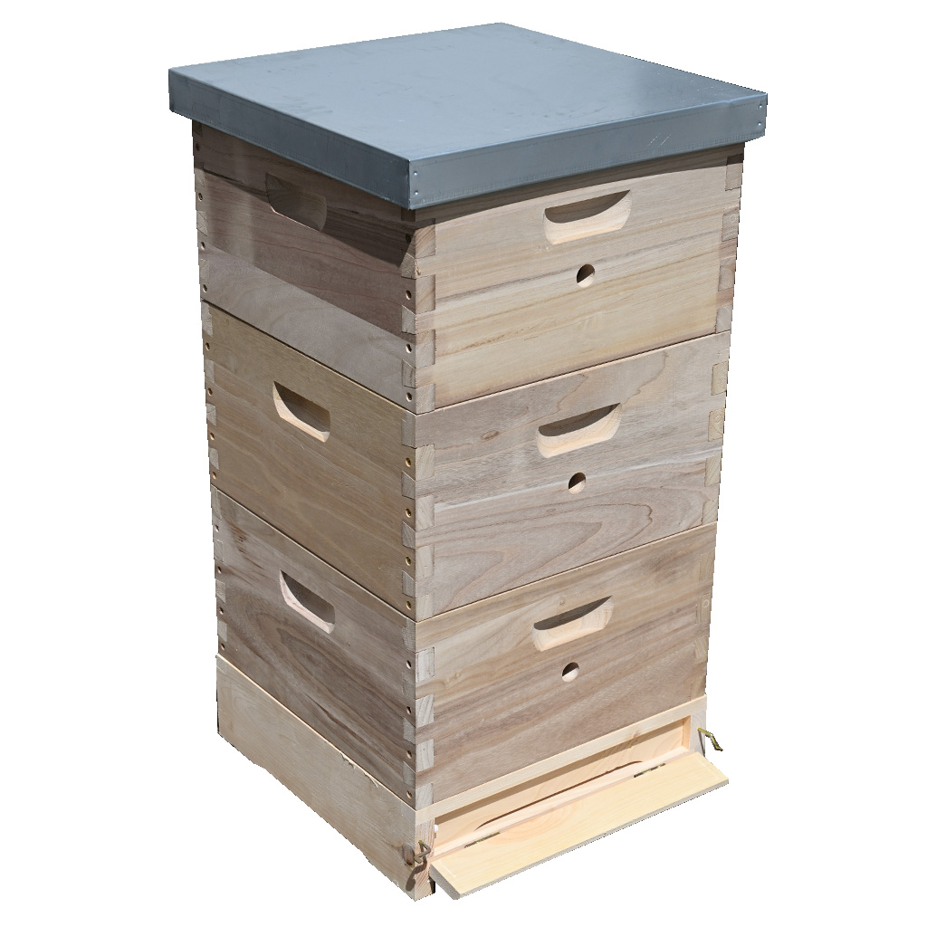 Boční pohled na úl 39x24 Schienen, pavlovnie, lehká konstrukce