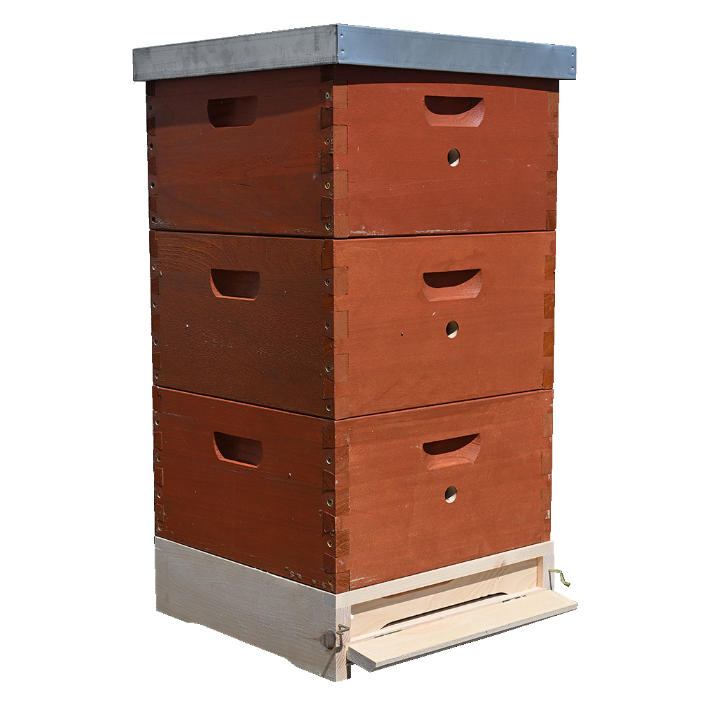 Přední strana úlu 39x24 Schienen, očko, nabarvený nástavek