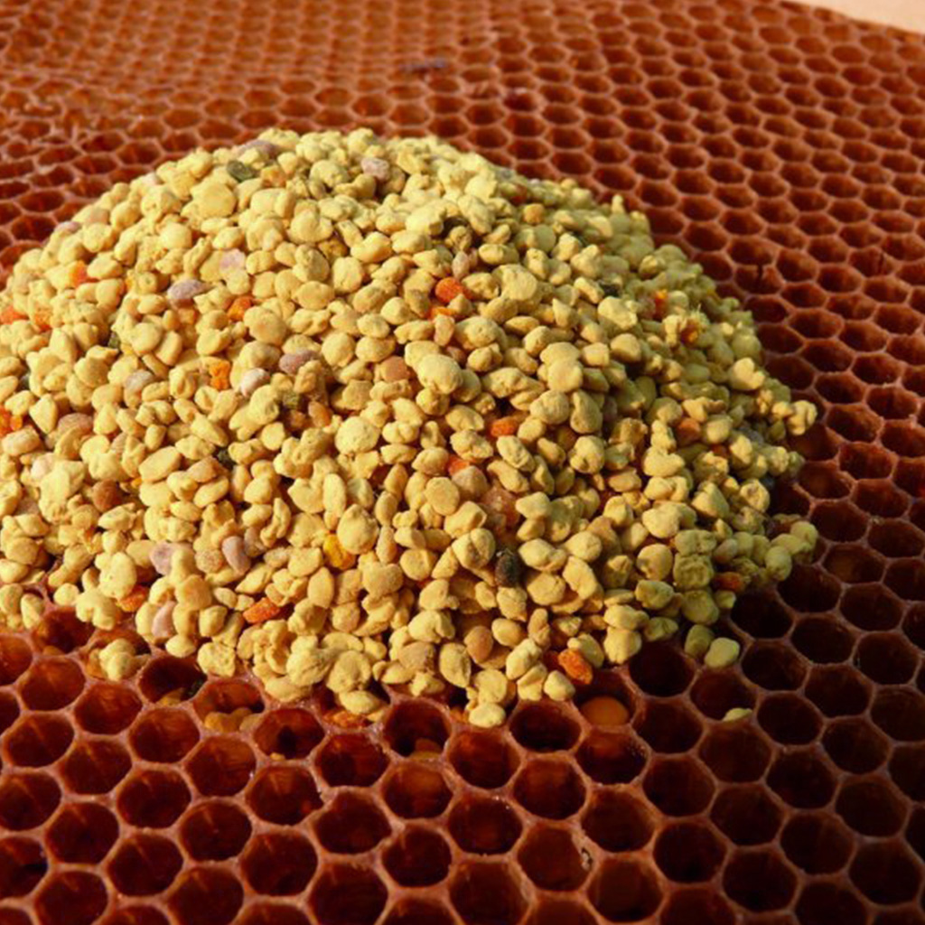 pleva květový pyl 100 g, včelařské potřeby