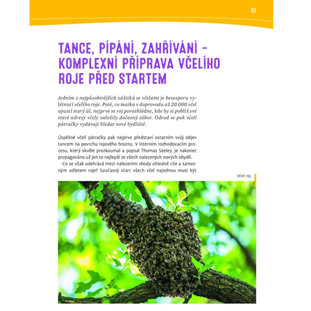 Proč se včelám potí nohy a poslouchají kolenem - Jürgen Tautz, kniha, včelařské potřeby, včelařství
