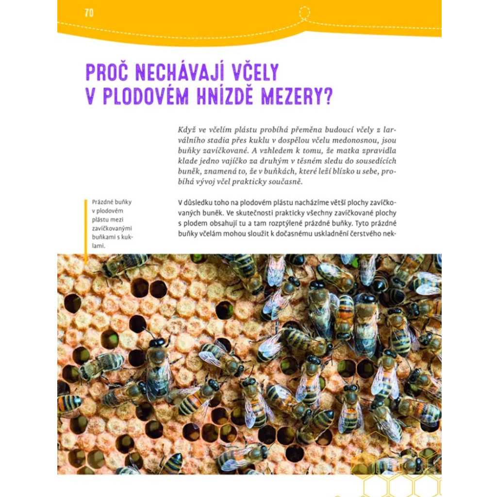 Proč se včelám potí nohy a poslouchají kolenem - Jürgen Tautz, kniha, včelařské potřeby, včelařství