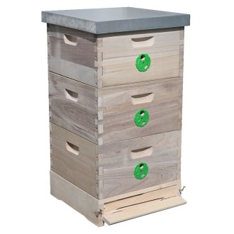 Úl 39x24 Schienen se třemi nástavky, paulovnie, nerezové kolejnice