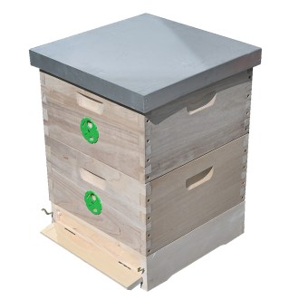 Přední strana úlu 39x24 Schienen, očko, česnové kolečko