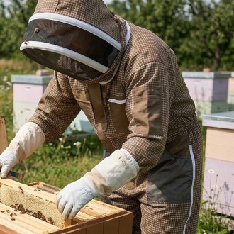 kombinéza Elegant Bee zadní pohled