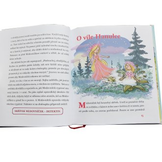 medovníček detektivem - jan lebeda, čelní pohled