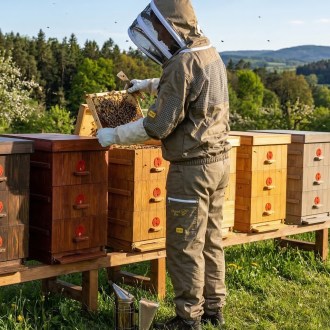 ochranná síť kukly Elegant Bee