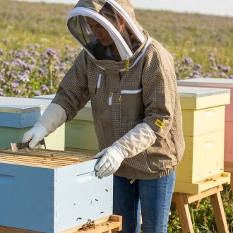 Elegant Bee plná ventilace