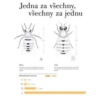 Smrt královny - Joana Kelén, kniha o včelařství, včelařské potřeby, včelařství