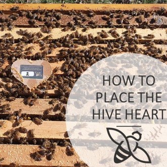 úlový snímač Bee Heart, produktový přehled, dřevěné pouzdro, využití, včelí úl