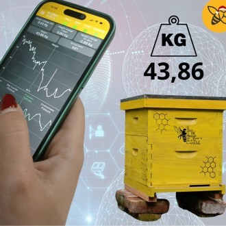úlová váha 3W, displej, měření hmotnosti, včelí úl, elektronika