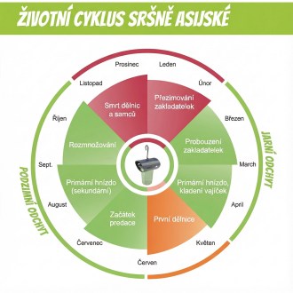 Past na asijské sršně VespaCatch, Past na asijské sršně VespaCatch – Véto-Pharma VespaCatch je účinné, přirozené a bezpečné řešení pro odchyt invazivní sršně asijské ( Vespa velutina ),