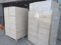 producción de colmena de abejas